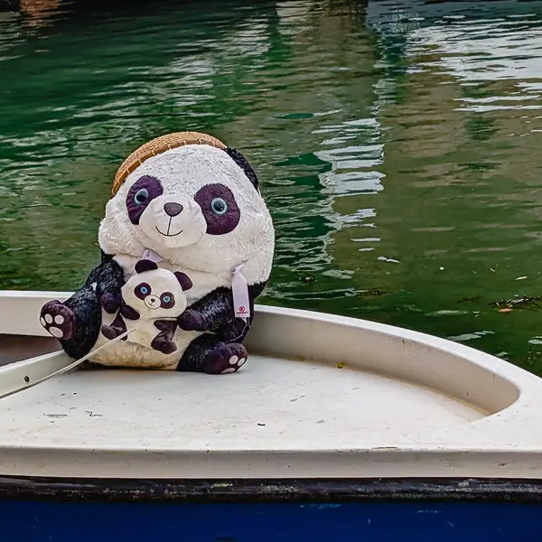 Pandas smile at passersby from a motorboat in Venice, Italy